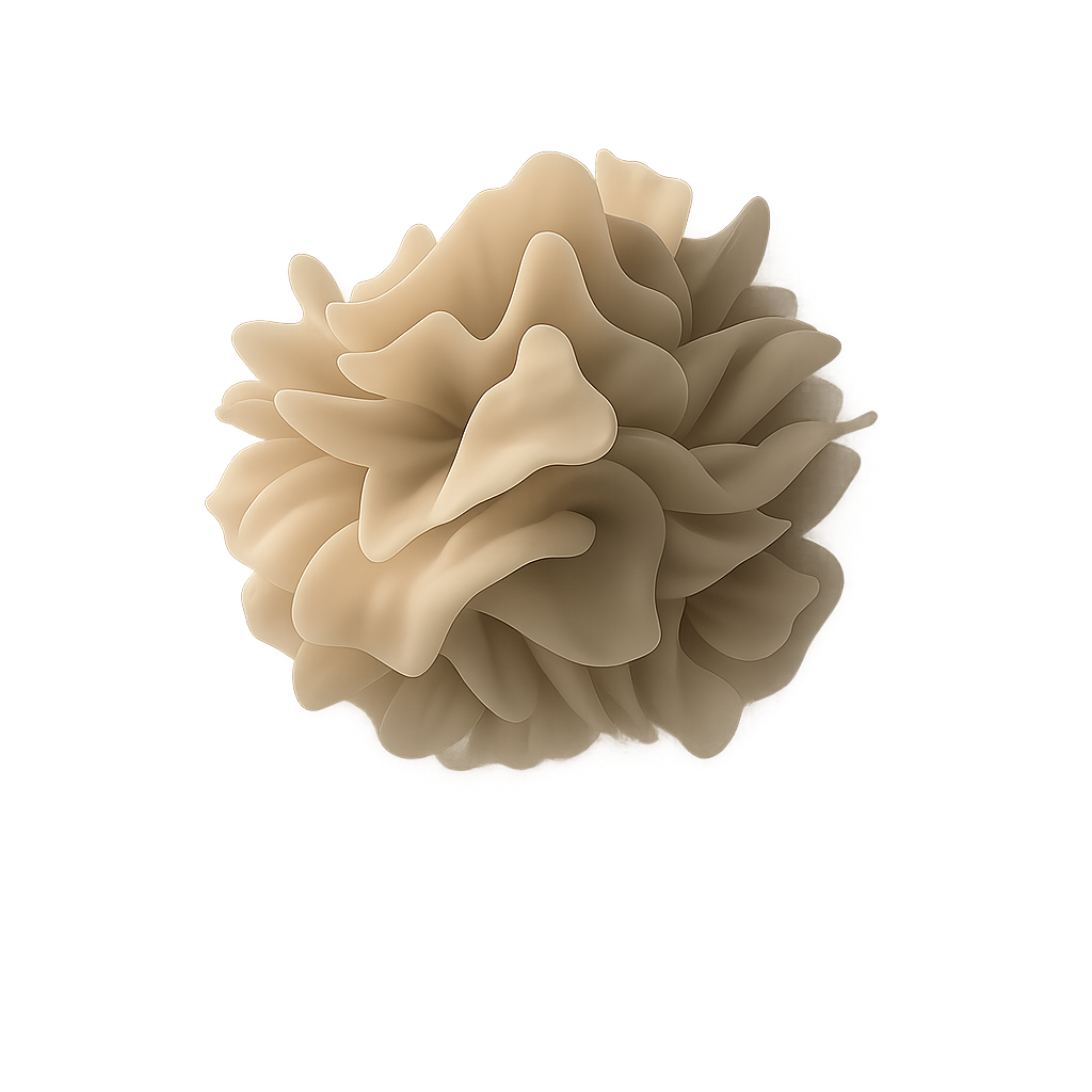 Bildmind Logo
